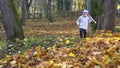 Child boy with raker tool walking garden covered with colorful autumn leaves