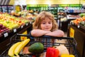 Child boy is shopping in a supermarket. Little cute boy with shopping cart full of fresh organic vegetables and fruits Royalty Free Stock Photo