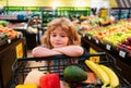 Child boy is shopping in a supermarket. Little cute boy with shopping cart full of fresh organic vegetables and fruits Royalty Free Stock Photo