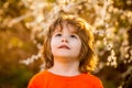 Child, boy, spring, sun. Happy little boy walking in spring garden. Spring activity for inquisitive children. Little boy