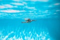 Child boy swim under water in sea. Kid swimming in pool underwater. Happy boy swims in sea underwater, active kid Royalty Free Stock Photo