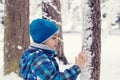 Child in a winter park or forest Royalty Free Stock Photo