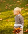 Child boy walking in the autumn park. Autumn portrait of cute little caucasian boy. Royalty Free Stock Photo