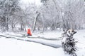 Child and broke down tree of snow. Horizontal view of child sitting over the trunk of a fallen tree an root in the park in winter Royalty Free Stock Photo