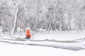 Child and broke down tree of snow. Horizontal view of child Royalty Free Stock Photo