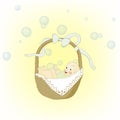 Child in the brown basket