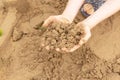 A child builds sand castles on the beach in the summer. Sea tour. Child`s hands in the sand. Entertainment in the fresh air Royalty Free Stock Photo