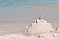 Child built sand castle with shells at a tropical, shoreline