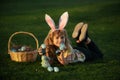 Child bunny boy with rabbit bunny ears. Easter egg hunt in garden. Child boy playing in field, hunting easter eggs. Royalty Free Stock Photo
