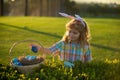 Child bunny boy with rabbit bunny ears. Child boy with easter eggs in basket outdoor. Easter egg hunt. Fynny kids face. Royalty Free Stock Photo