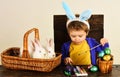 Child in bunny ears paint Easter egg. Little boy with easters rabbit in basket. Royalty Free Stock Photo
