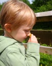 Child With Buttercup