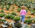 Child In the cabbage patch Royalty Free Stock Photo