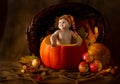 Child in cap inside pumpkin. Autumn harvest
