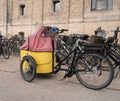 Child carrier on front of Copenhagen bicycle Royalty Free Stock Photo