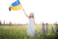 Child carries fluttering blue and yellow flag of Ukraine in lupine field. Ukraine& x27;s Independence Day. Flag Day