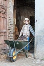 Child transports a cat in a barrow