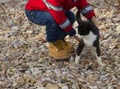 Child catching black and white cat