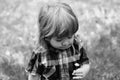 Child with chamomile. happy small boy on green grass Royalty Free Stock Photo