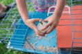 The child changes the water in the cage for guinea pigs. Pet care. Change of drinking bowl for rodents. Pet drinker