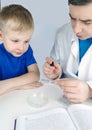 Child chemist. Teacher shows a visual experiment. A science mentor teaches an experimental approach. Microscope, petri dish, Royalty Free Stock Photo