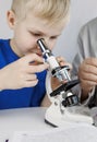 Child chemist. Teacher shows a visual experiment. A science mentor teaches an experimental approach. Microscope, petri dish, Royalty Free Stock Photo