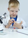 Child chemist. Teacher shows a visual experiment. A science mentor teaches an experimental approach. Microscope, petri dish, Royalty Free Stock Photo