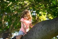 Child climb up tree and having fun in summer park. Cute kids boy climbing. Royalty Free Stock Photo