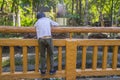 Child climbing a bridge fence by river or pond in a garden watching somthing Royalty Free Stock Photo