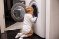 Child climbing into front-loading washing machine. Side view. Lack of parental supervision Royalty Free Stock Photo