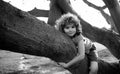 Child climbing a tree. Cute caucasian kid boy happily lying in a tree hugging a big branch. Royalty Free Stock Photo