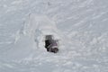 The child climbs out of the snow cave - dwelling Inuit, Igloo Royalty Free Stock Photo