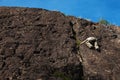 Child climbs on rock wall