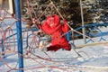 A child climbs a rope in winter