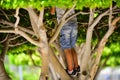 A child climbs a tree. Childhood in nature. Happy children in the trees. Hide and seek. Summer mood. Kids game. Outdoor Royalty Free Stock Photo