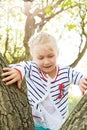 Child climbs a tree in the early morning on a summer day