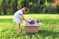 Child collecting toys for charity. Soft toys in cardboard doantion box outdoors