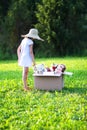 Child collecting toys for charity. Soft toys in cardboard doantion box outdoors