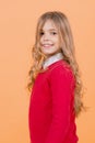 Child with curly blond hair in red sweater Royalty Free Stock Photo
