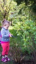 The child cuts the bush with scissors in the garden, the child helps parents