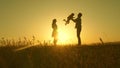 Child, dad and mom play in the meadow in the sun. concept of a happy childhood. mother, father and little daughter Royalty Free Stock Photo