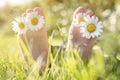 Child with daisy in toes lying in meadow relaxing in summer sunshine Royalty Free Stock Photo