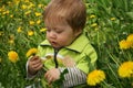 Child with the dandelion