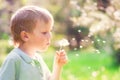 Child with dandelion