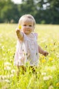 Child at dandelion meadow in summer Royalty Free Stock Photo