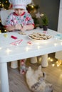 Child decorates Christmas cookies and cat Royalty Free Stock Photo