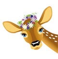 Child deer with vein on head Royalty Free Stock Photo