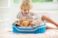 Child, dog and cat. Kids play with puppy, kitten Royalty Free Stock Photo