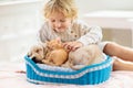 Child, dog and cat. Kids play with puppy, kitten Royalty Free Stock Photo