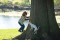 Child with dog climb a tree. Kid boy playing with puppy in a park and climbing. Toddler and pet learning to climb having Royalty Free Stock Photo
